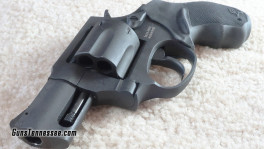Taurus-snub-L