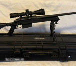 Armalite AR-30 .308