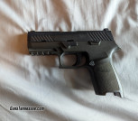 Sig 320 3.9 inch