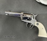 Ruger 