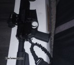 Radical ar.556