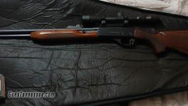 1000019439