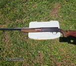 Browning sweet 16