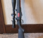 22 Hornet