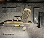 Sig P365XL Spectre build - Grayguns, True Precision TiN, Griffin comp, Romeo Zero, TLR-6 + holster